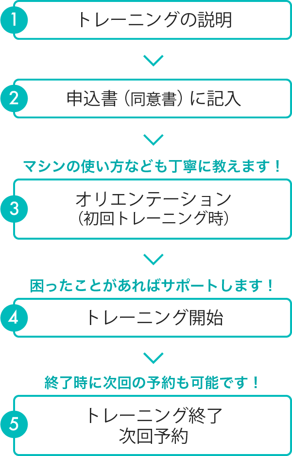 トレーニングの流れ
